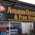 Aquarium Outfiters & Fish Store
