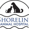 Shoreline Animal Hospital