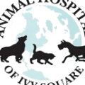 Animal Hospital of Ivy Square