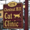 Chestnut Hill Cat Clinic
