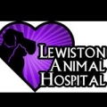 Lewiston Small Animal Hospital