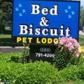Bed and Biscuit