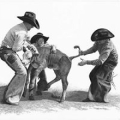 Arkansas Cattlemen's Association