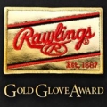 Rawlings Sporting Goods Company
