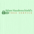 Adam Haudenschield's Tree Service