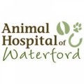 Animal Hospital of Waterford
