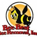 Bee Best Bee Removal