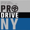 Professional Driving School of The Americas Inc