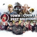 Town & Country Pest Solutions