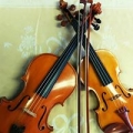 Telford & Sons Violins