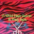 A Wild Hair Salon