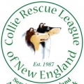 The Collie Rescue League of New England