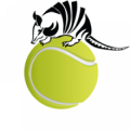 All Star Tennis Court Co