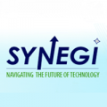 Synegi Inc