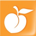 Apricot Designs