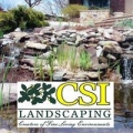 Csi Landscaping