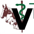 Webster Veterinary Clinic