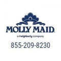 Molly Maid of West Miami