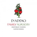 D'addio's Family Nursery