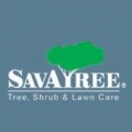SavATree - The Tree and Shrub Care Company