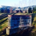 Yadkin Veterinary Hospital