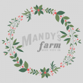 Mandy's Special Farm