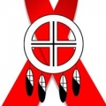 Native American Aids Project