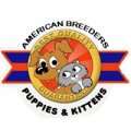 American Breeders