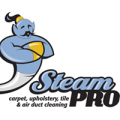 Steam PRO Inc