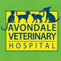 Avondale Veterinary Hospital