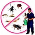 Bug Stoppers