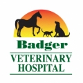 Badger Veterinary Hospital
