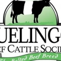 Buelingo Beef Cattle Society