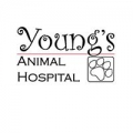 Youngs Animal Hospital