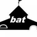 Bat Information