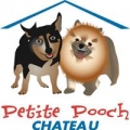 Petite Pooch Chateau