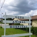 Lutz Animal Hospital