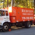 Redfern Tree & Stump Service