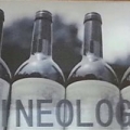 Wineology Inc