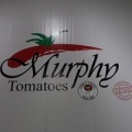Murphy Tomatoes