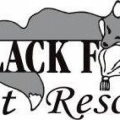 Black Fox Pet Resort