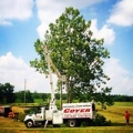 Cover Tree & Stump Service
