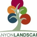 Canyon Landscaping Maintenance