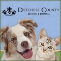 Dutchess County Animal Hospital