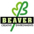 Beaver Creative Environments
