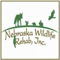 Nebraska Wildlife Rehab Inc