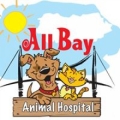 All Bay Animal Hospital