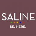 Saline City Government