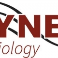 Fynes Audiology