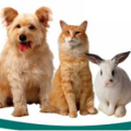 All Breed Pet Care LLC